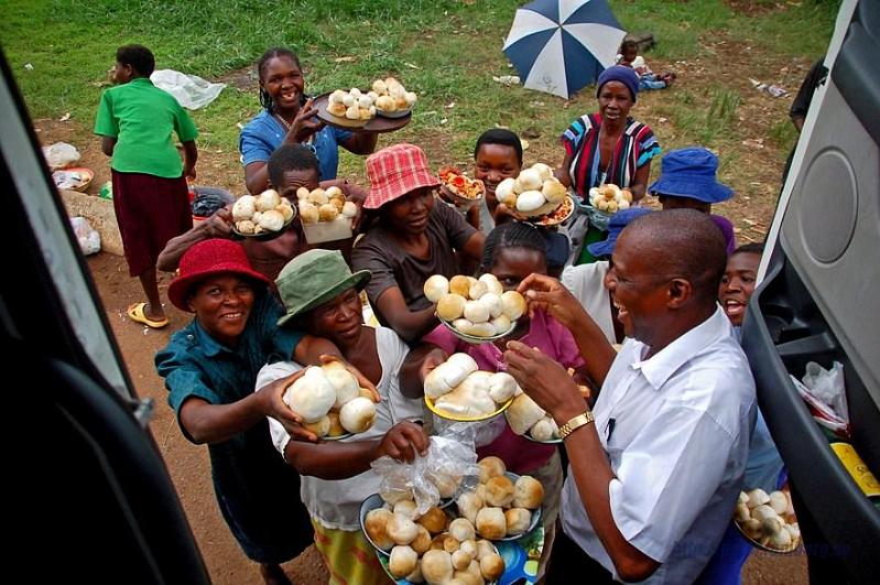 Zimbabwe travel (14).JPG - Mushroom for sale!